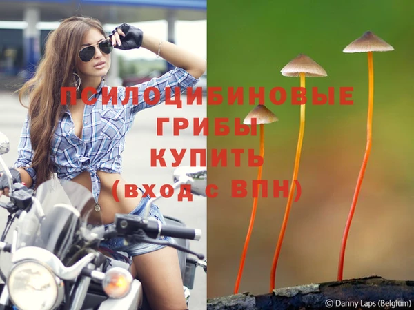дурь Арсеньев