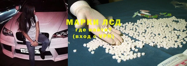 прущие грибы Алзамай