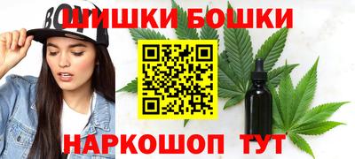 шишки Славгород