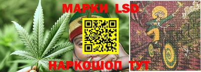 шишки Славгород