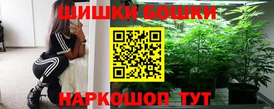 шишки Славгород