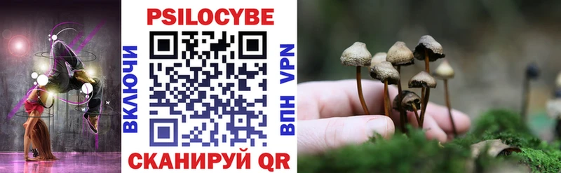 купить  сайты  Пушкино  Псилоцибиновые грибы Magic Shrooms 