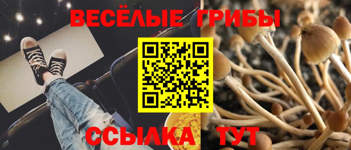 Псилоцибиновые грибы ЛСД Пушкино