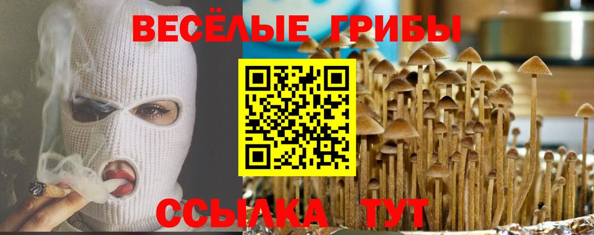 Галлюциногенные грибы Magic Shrooms  Псилоцибиновые грибы мицелий  Пушкино  Вход с VPN 